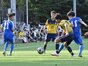 写真12