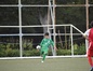 写真11