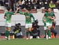 写真10