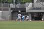 写真14