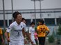 写真12