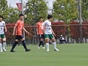 写真17