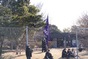 写真11