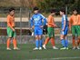 写真14