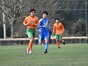 写真17
