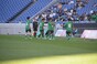 写真12