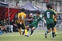 写真01