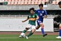 写真11