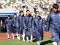 写真12