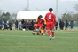 写真19