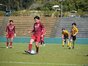写真12