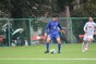 写真11