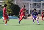 写真11