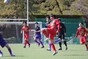 写真16