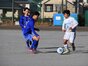写真11