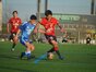 写真11