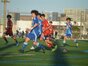写真12