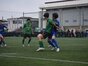 写真13