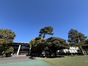 写真163
