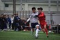 写真242