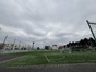 写真261