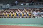 写真12
