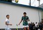写真12