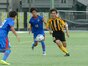 写真11