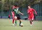 写真11