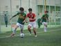 写真14
