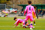 写真14