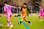 写真19