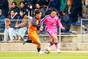 写真111