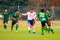 写真242