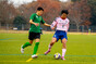 写真264