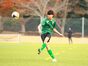 写真11