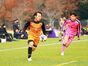 写真17