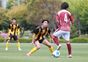 写真239
