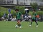 写真274