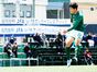 写真14