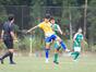 写真12