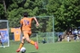 写真11