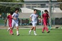 写真246