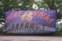 写真142