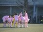 写真19
