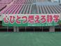 写真82