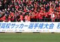 写真48
