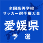 帝京第五、済美などが8強に名乗り　選手権愛媛予選4回戦1日目