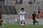 写真11