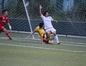 写真13